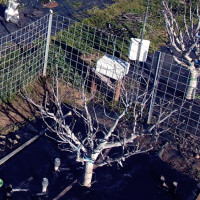 Extremadura presenta en Australia investigaciones sobre el riego