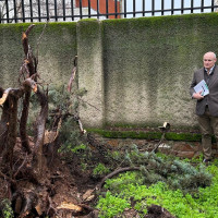 Numerosas incidencias en centros educativos de Extremadura por la borrasca