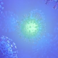 Qué es el virus Nipah y la supuesta “nueva pandemia” que podría llegar