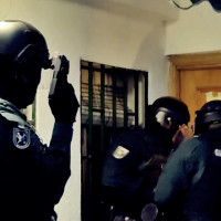 Campaña nacional para luchar contra irregularidades en el sector ganadero