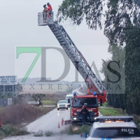 Los bomberos retiran ramas de un árbol antes de que caigan sobre conductores en Badajoz