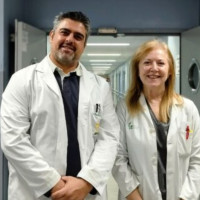 Una investigación de la UEx y el SES identifican una proteína clave para prevenir el ictus