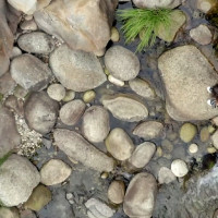 Cultura, paisajes y agroturismo, platos fuertes de la provincia de Cáceres para Fitur 2026