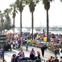 El resumen que necesitas para todas las actividades del Carnaval de Badajoz 2026