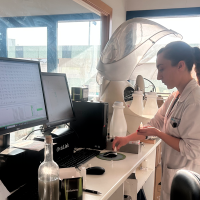 La Junta abre una gran convocatoria para financiar la tecnología de las empresas extremeñas