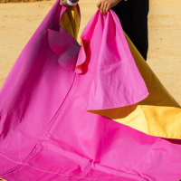 Alertan de matrículas a partir de 10 años en la escuela taurina de Badajoz: "Cada alumno cuesta 46.000 €"