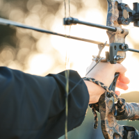 La dehesa como escenario del tiro con arco 3D en la provincia de Badajoz
