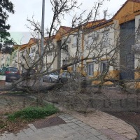 La Junta desescala a situación 0 el PLATERCAEX tras el paso del temporal en Extremadura
