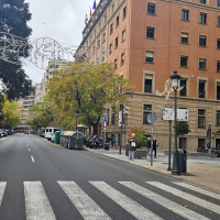 Roban un coche con un perro en su interior en Cáceres: piden ayuda para encontrar a Goyo