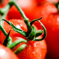Preocupación sanitaria por tomates contaminados con un metal pesado peligroso