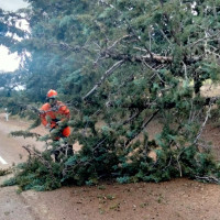 El INFOEX interviene en 13 localidades extremeñas tras el paso de la borrasca