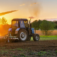 Somos Cáceres reclama apoyo económico en favor del seguro agrario en la provincia