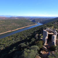 Polémica en Monfragüe por ampliar la caza del jabalí en plena época de cría de rapaces