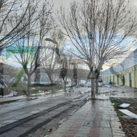 Imágenes que ha dejado el paso del tornado por Plasencia