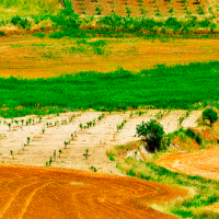 Reclaman la creación de explotaciones agrarias para frenar la despoblación en la provincia