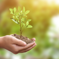 Ecologistas alertan de un retroceso de la educación ambiental en Extremadura