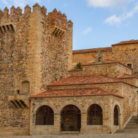 Alertan del impacto de las obras en la Torre de Bujaco sobre aves protegidas