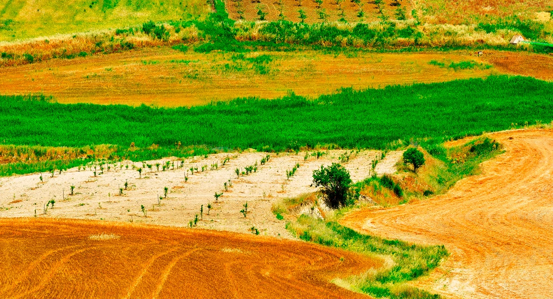 Reclaman la creación de explotaciones agrarias para frenar la despoblación en la provincia