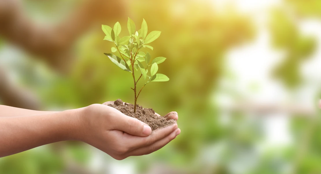 Ecologistas alertan del abandono de la educación ambiental en Extremadura