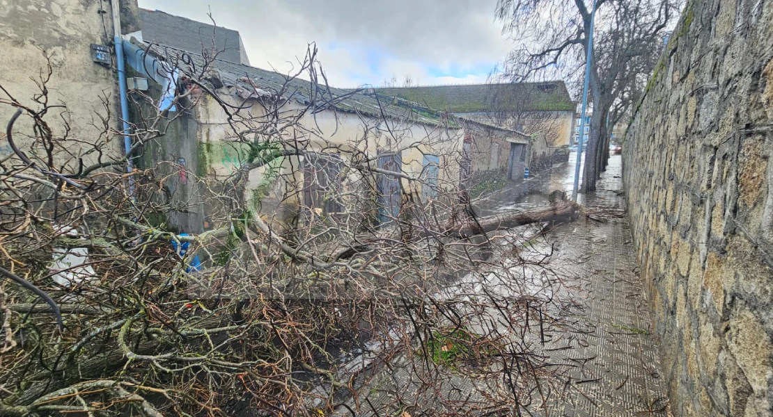 Imágenes que ha dejado el paso del tornado por Plasencia