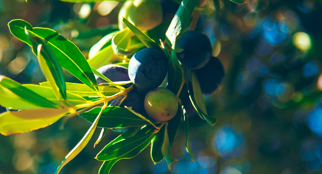 Cáceres impulsa una campaña de prevención para el medio rural