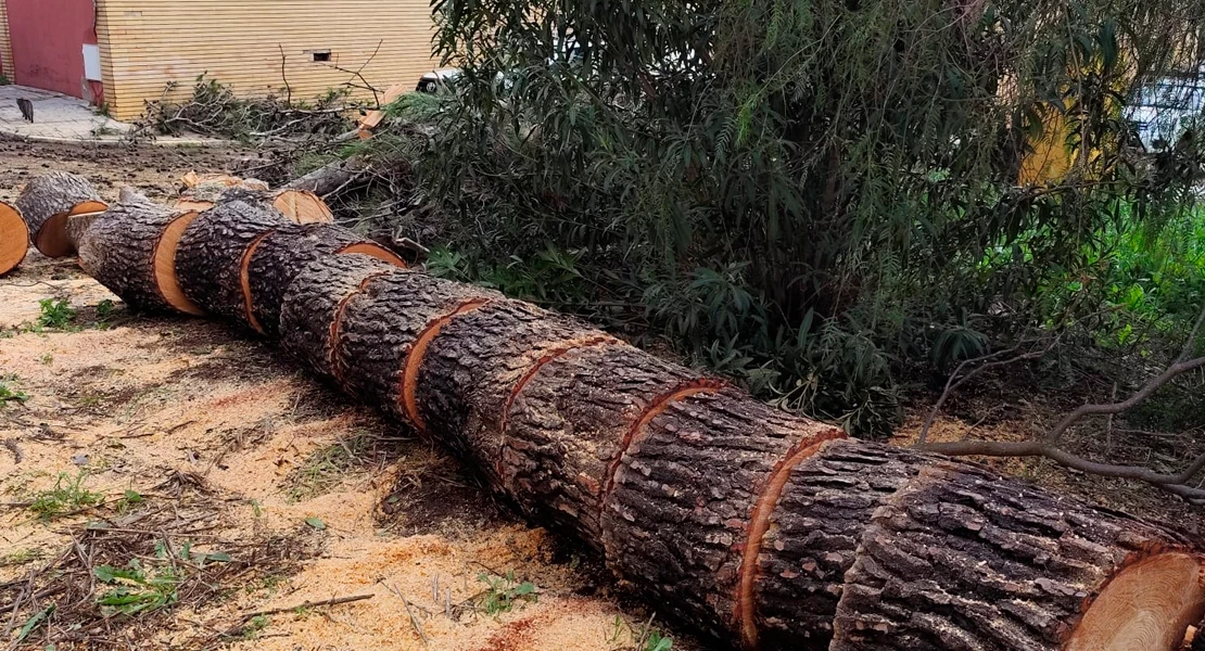 Los bomberos forestales del INFOEX trabajan sin descanso para reparar los daños del temporal