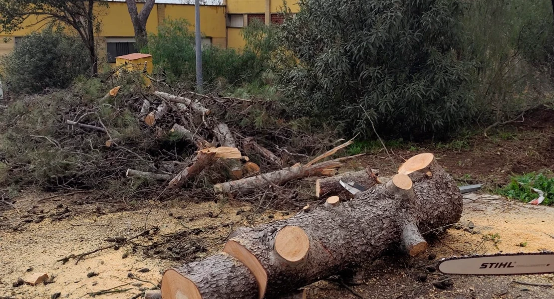 Los bomberos forestales del INFOEX trabajan sin descanso para reparar los daños del temporal
