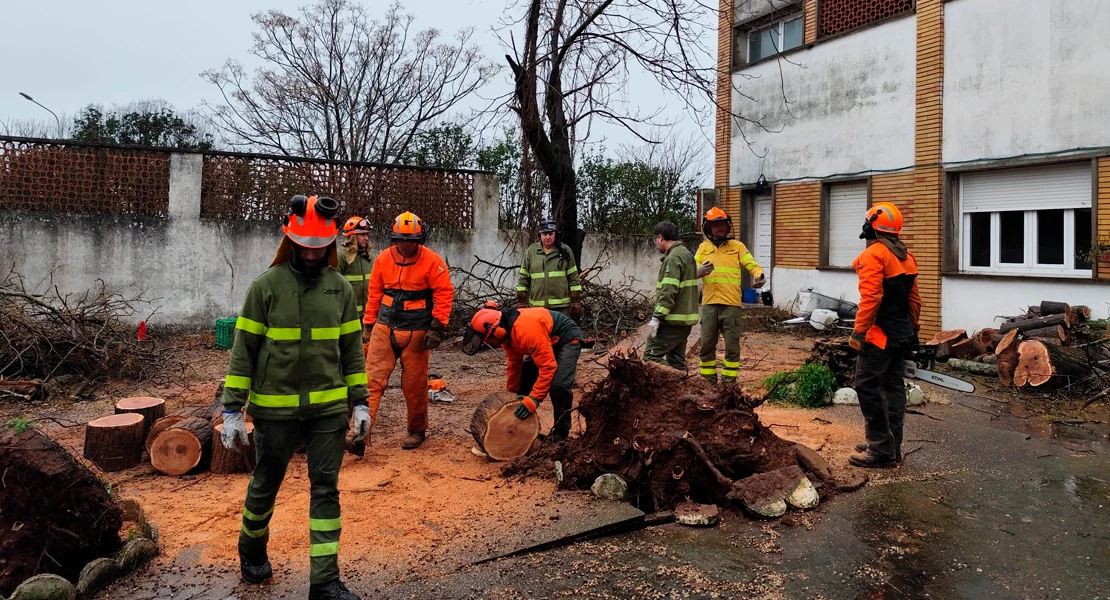 Los bomberos forestales del INFOEX trabajan sin descanso para reparar los daños del temporal