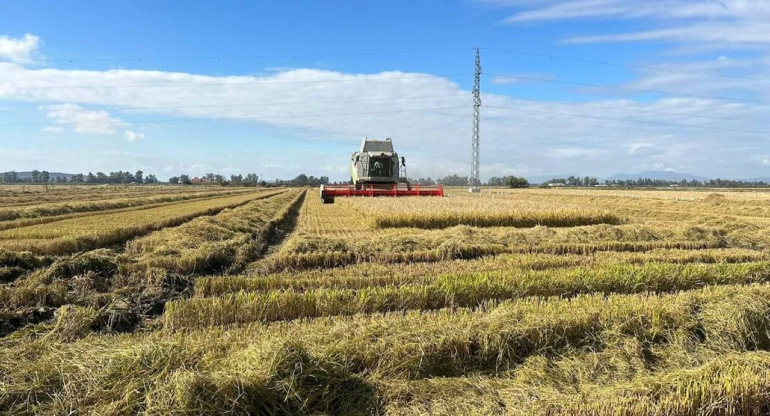 El sector arrocero de Extremadura pide auxilio ante la actividad de terceros países