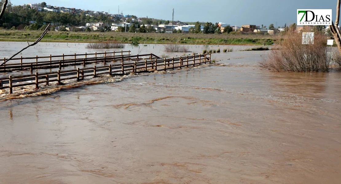 Imágenes de los estragos de la borrasca Marta a su paso por Badajoz