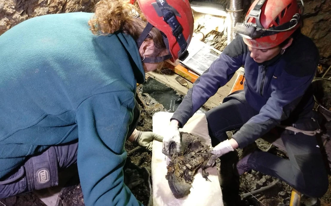 Trabajos de exhumación e investigación en fosas extremeñas