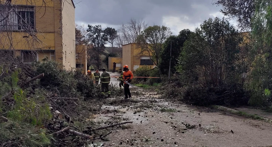 Los bomberos forestales del INFOEX trabajan sin descanso para reparar los daños del temporal
