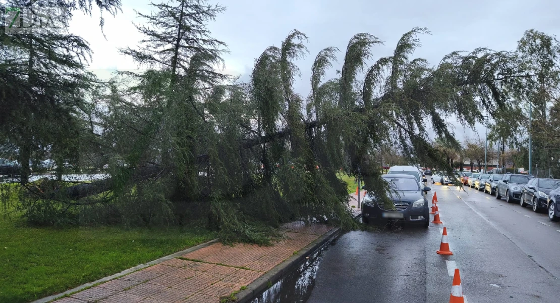 El temporal causa destrozos en las calles de la ciudad de Badajoz