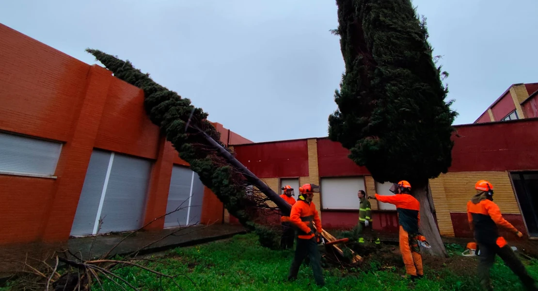Los bomberos forestales del INFOEX trabajan sin descanso para reparar los daños del temporal