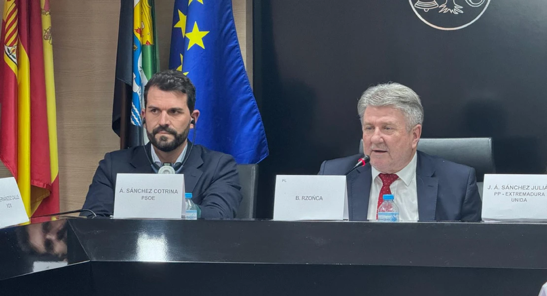 El PSOE pide abordar el futuro de Almaraz "más allá de cualquier simplificación energética"