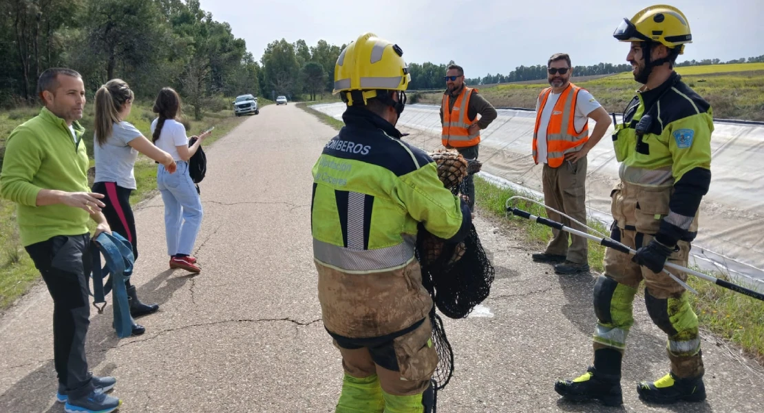 Un perro queda atrapado tras caer al Canal de Orellana