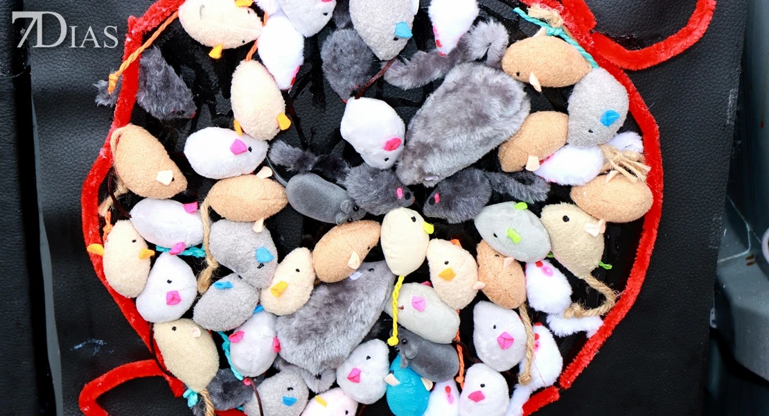 El Entierro de la Sardina 2026 en imágenes