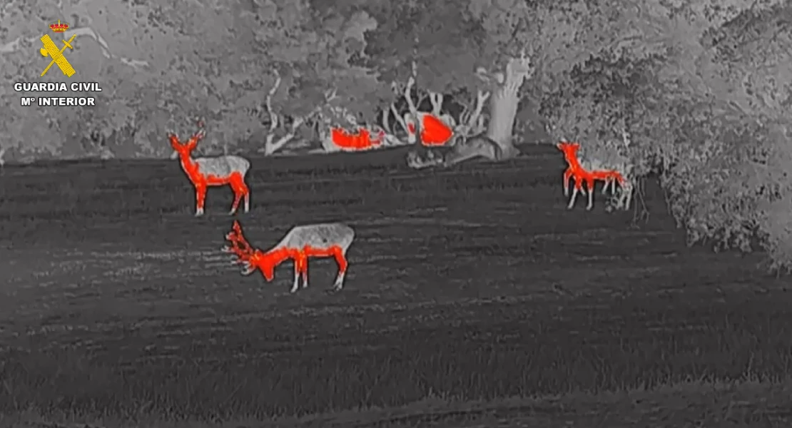 Llevan a cabo tres importantes operativos contra la caza furtiva en Extremadura