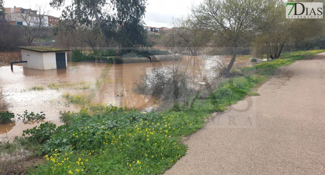 Extremadura activa el PLATERCAEX de nuevo por la alerta de lluvia y viento este miércoles