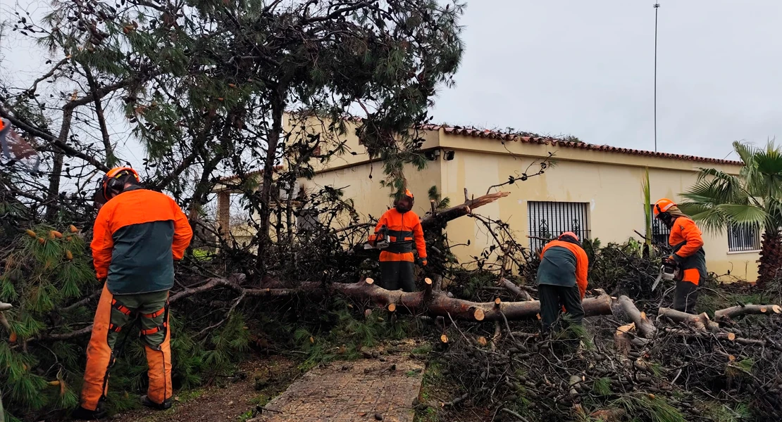 Los bomberos forestales del INFOEX trabajan sin descanso para reparar los daños del temporal