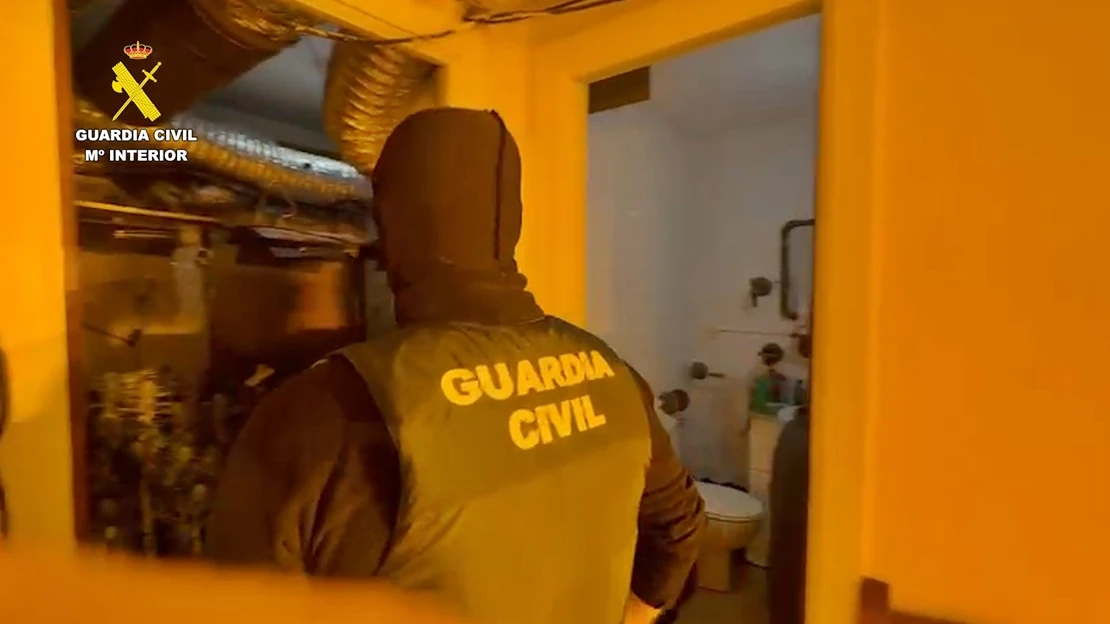 Dos vecinos extremeños detenidos por cultivar marihuana en una vivienda cerca a su domicilio