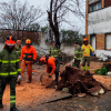 Los bomberos forestales del INFOEX trabajan sin descanso para reparar los daños del temporal