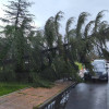 El temporal causa destrozos en las calles de la ciudad de Badajoz