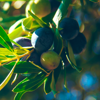 Cáceres impulsa una campaña de prevención para el medio rural