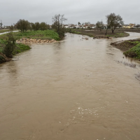 Más de 250 M€ en pérdidas por las lluvias en Extremadura y la Junta "no se mueve de los despachos"