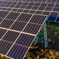 Dos altos cargos del MITECO a juicio por la autorización de la planta solar de Alcántara