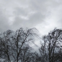 PP: “Sánchez deja a los agricultores y ganaderos de la provincia de Cáceres sin ayudas por el temporal”