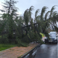 El temporal causa destrozos en las calles de la ciudad de Badajoz