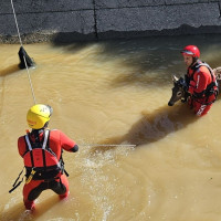 Los bomberos rescatan a un ciervo en un canal cerca de Logrosán (CC)