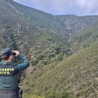 Un amplio dispositivo continúa buscando a Manuel, desaparecido en Las Hurdes